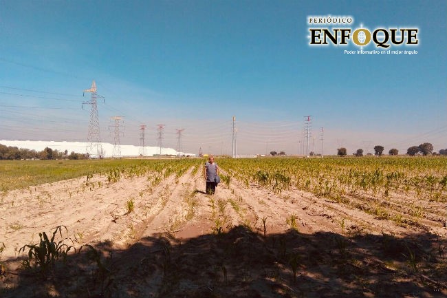 SEGOM se compromete a investigar obras irregulares en La Resurrección