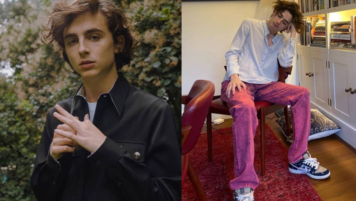 Timothée Chalamet: ¿Quién es el nuevo novio de Eiza González?