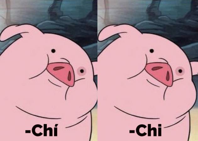 ¿‘Chi’ o ‘chí’? ¿Qué dice Fundéu y la RAE?
