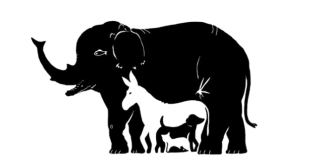 Encuentra a los 13 animales: El desafío visual que nadie puede resolver