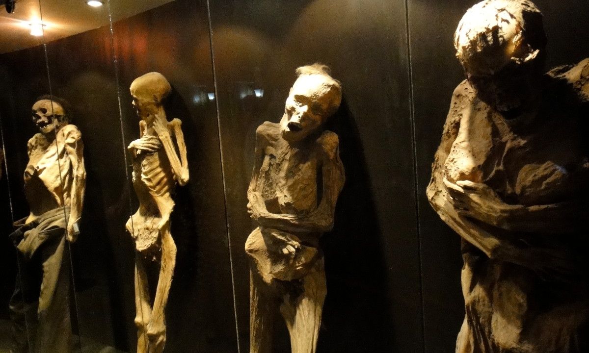 Más de 20 momias de Guanajuato habrían desaparecido de la colección más grande del mundo
