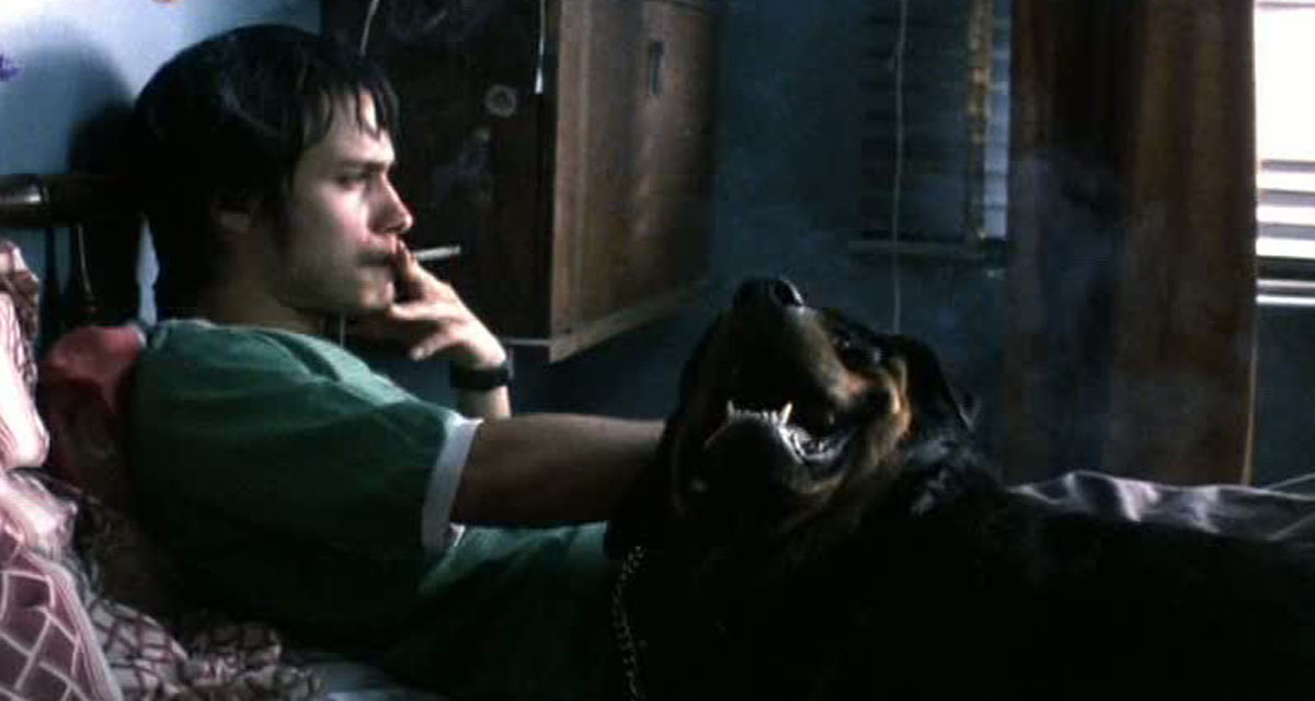 'Amores perros' festejará sus 20 años en el Zócalo de la CDMX pese a la contingencia por COVID-19