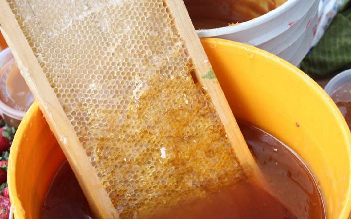 Miel de abejas debe ser incluida en despensas que gobernadores proporcionan a población vulnerable por COVID-19