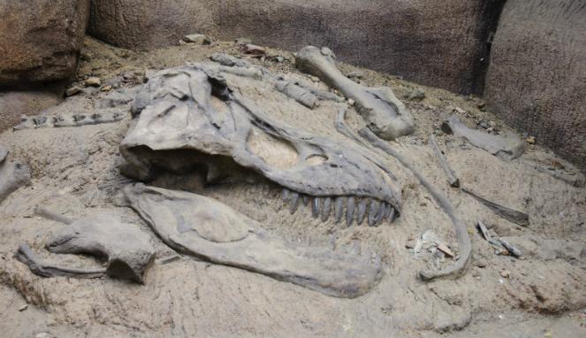 Los dinosaurios tienen un miembro más en la familia: Investigadores descubren nueva especie en Arizona