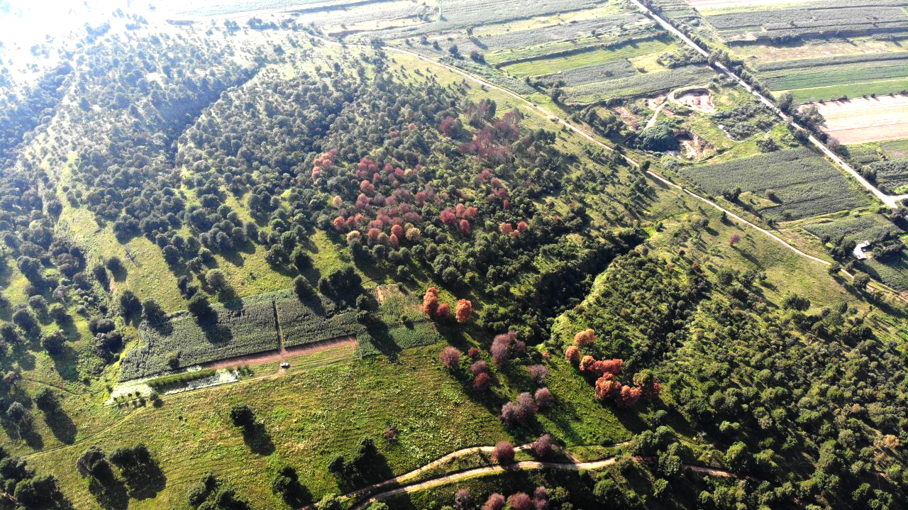 Inician trabajos de rescate y conservación en el Cerro Zapotecas, intervienen los tres órdenes de gobierno y VW