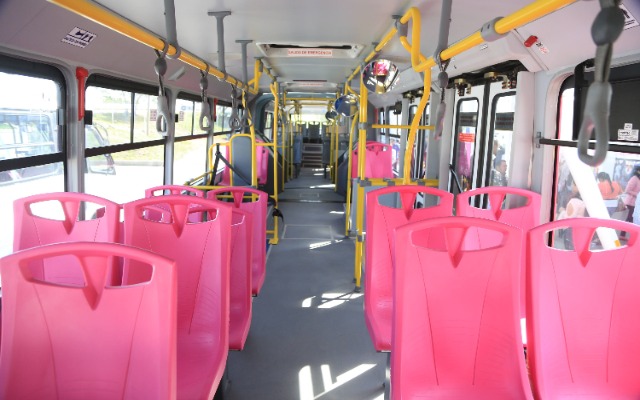 Empresa que operaba RUTA no reportaba al gobierno 40 MDP mensuales; se presentarán denuncias penales este mes