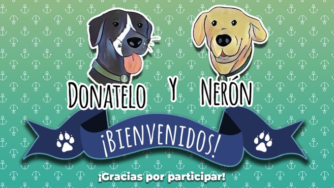 Nerón y Donatelo son los nombres de los nuevos perritos de la Marina rescatados en Tabasco