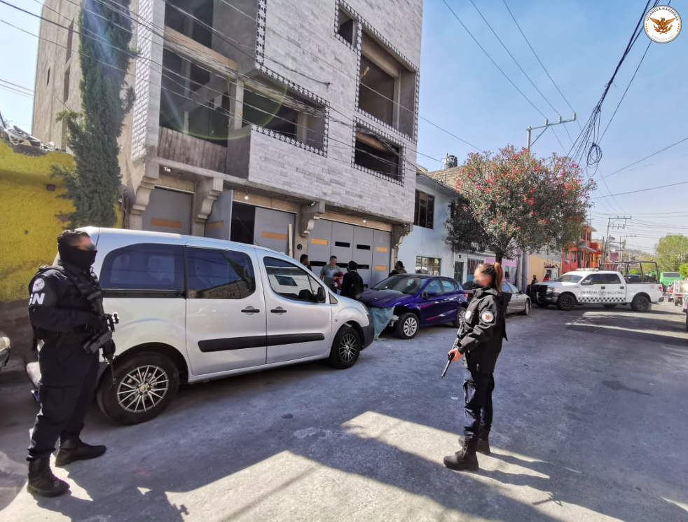 Guardia Nacional y Profepa recuperan a 15 mil animales protegidos de dos casas en Iztapalapa