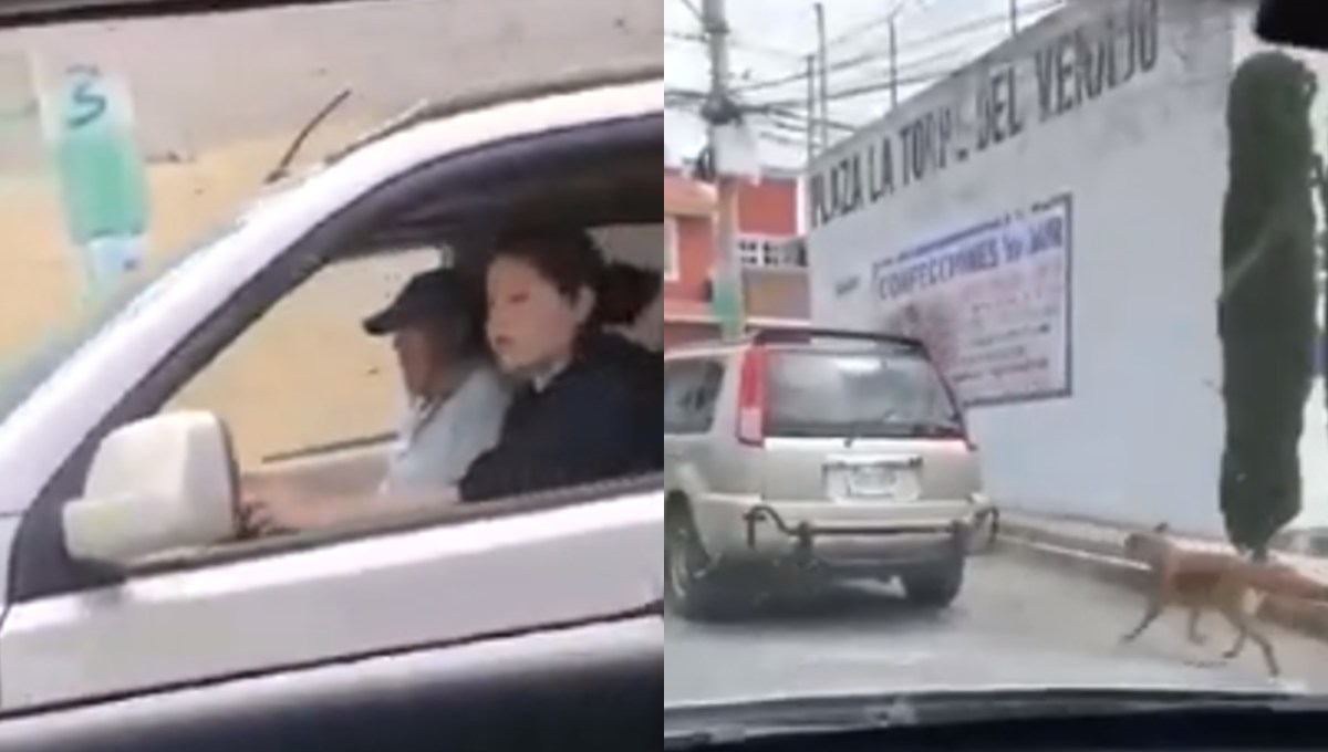 Sin piedad, pareja arrastra a perro con su camioneta en Hidalgo (Video)