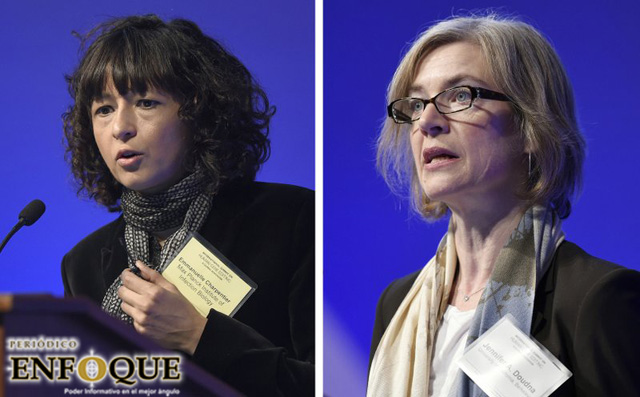 Dos mujeres ganan el nobel de química 2020 por las ´Tijeras genéticas´ que modifican el ADN
