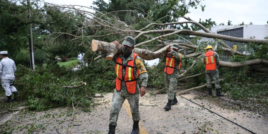Árboles y postes caídos: este es el saldo tras el paso del huracán 'Delta' por Quintana Roo y Yucatán