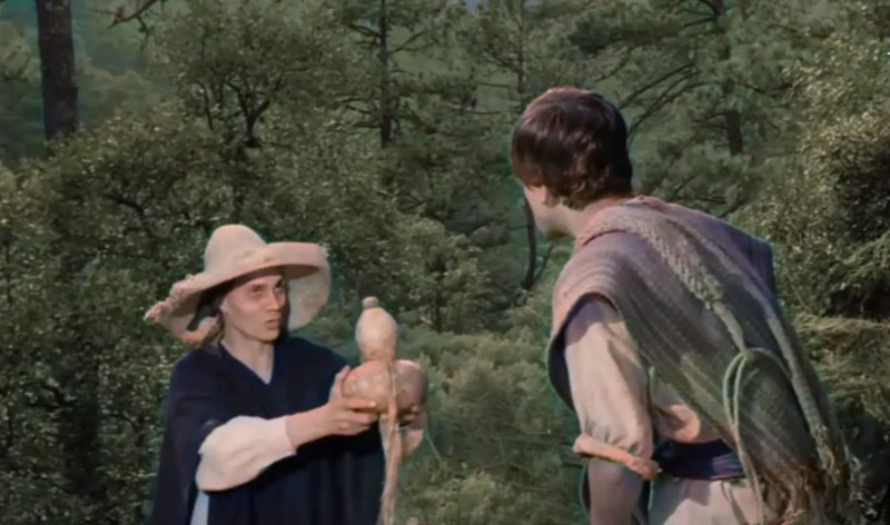 ¿Y tú que hiciste durante la pandemia? Este chiapaneco decidió 'darle color' a 'Macario'