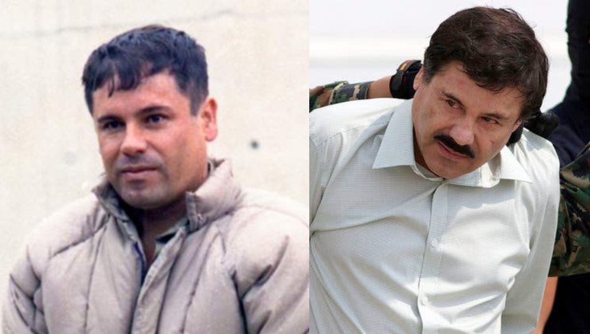 Papelería lanza monografía del “Chapo” Guzmán; se vende más que la de Peña Nieto