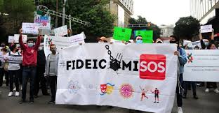 Senado le 'cumple' a AMLO: elimina 109 fideicomisos