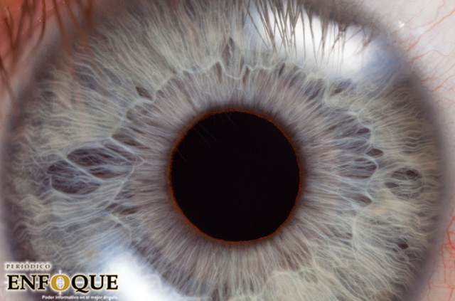 La mutación genética del 12% de las mujeres que les permite ver millones de colores