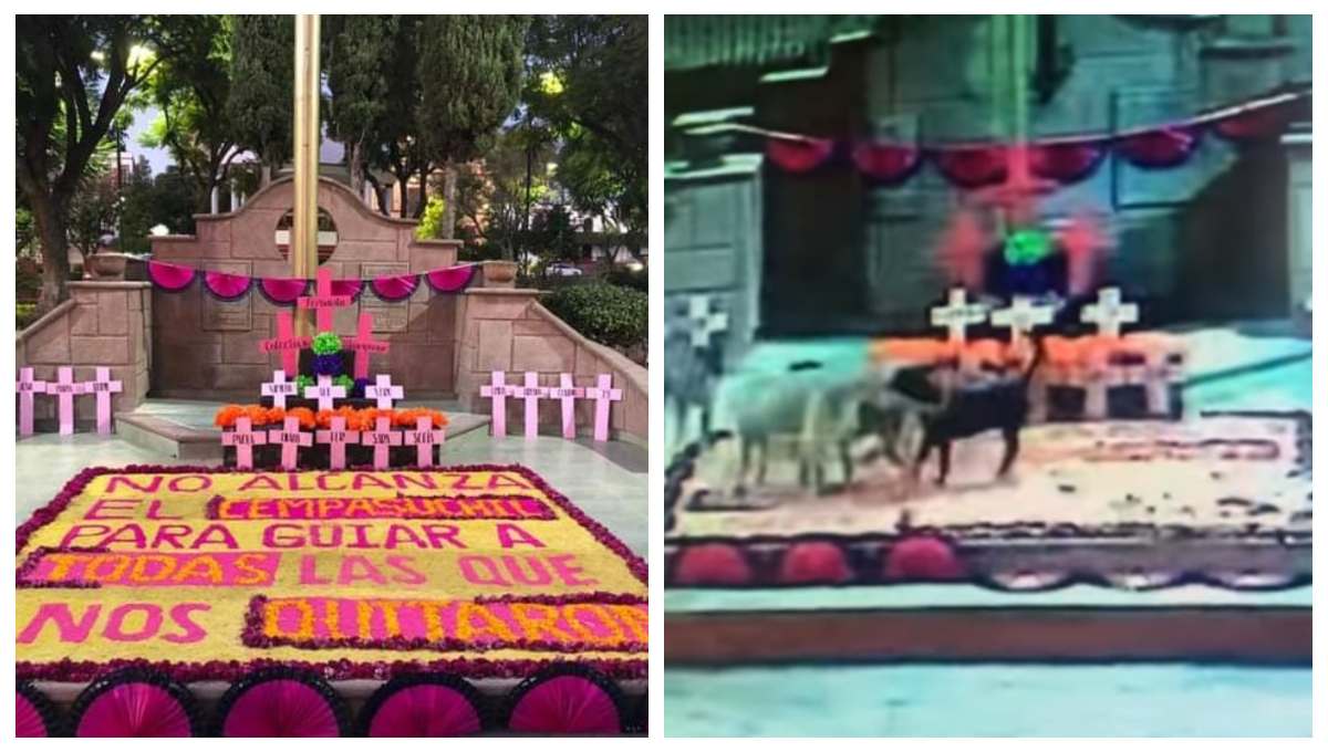 Perros, los responsables de vandalizar ofrenda para víctimas de feminicidio (Video)