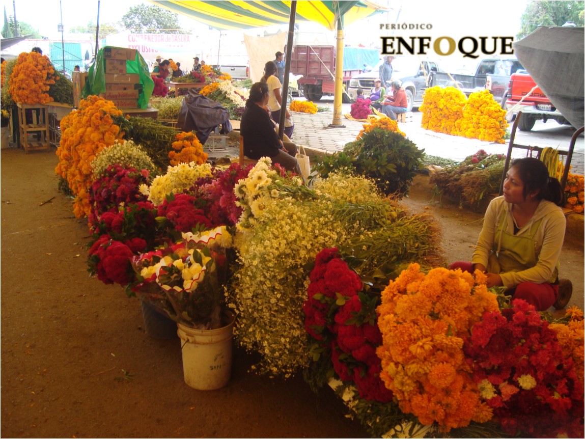 Pandemia afecta ventas de cempasúchil en Tepeaca 