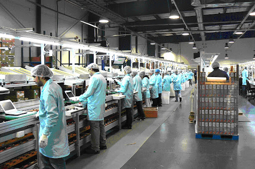 México no aguantará un segundo cierre de actividades por rebrote de COVID-19, advierten industriales