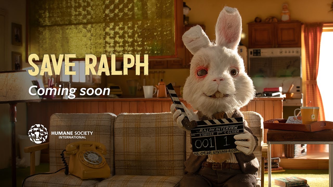 "Save Ralph", la campaña contra pruebas en animales que conmueve en redes sociales