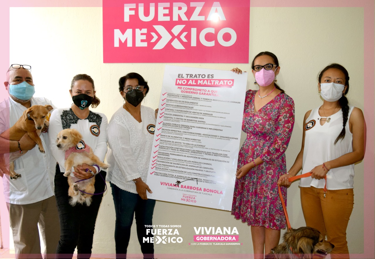 Impulsaremos el reglamento de la Ley de Protección y Bienestar Animal: Viviana Barbosa 