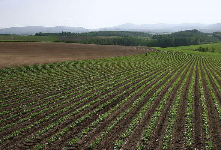 México, EU y Canadá colaboran sobre medio ambiente y cambio climático