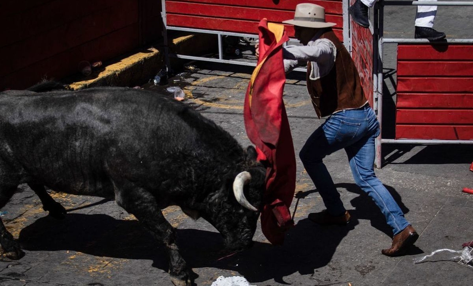 Toro salta y deja al menos10 heridos en Michoacán