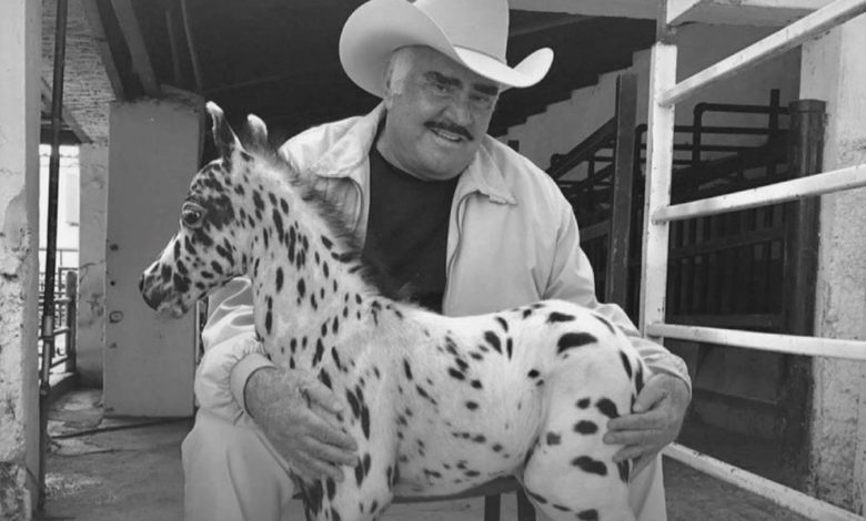 “Hay algo que no quiere decir la familia”: Vicente Fernández podría quedar en estado vegetativo; 