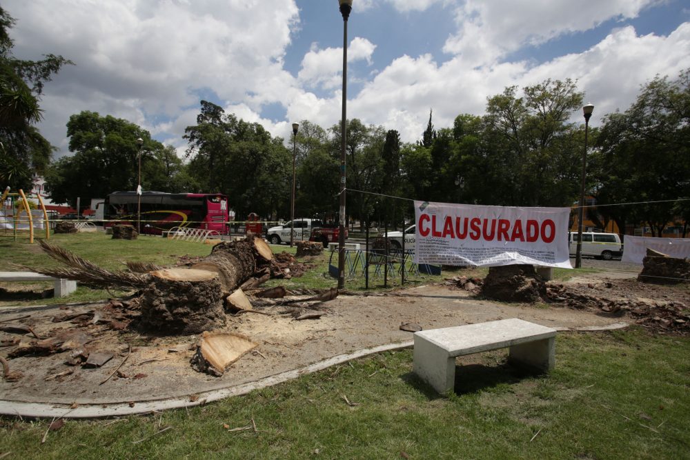 Gobierno estatal sin facultad para clausurar tala en Analco: Ayuntamiento