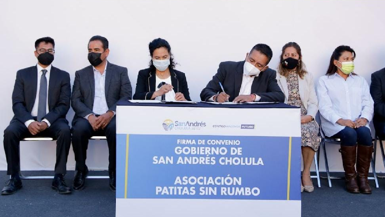 Ayuntamiento de San Andrés Cholula firmó un convenio para la Jornada de Esterilización de perros y gatos 