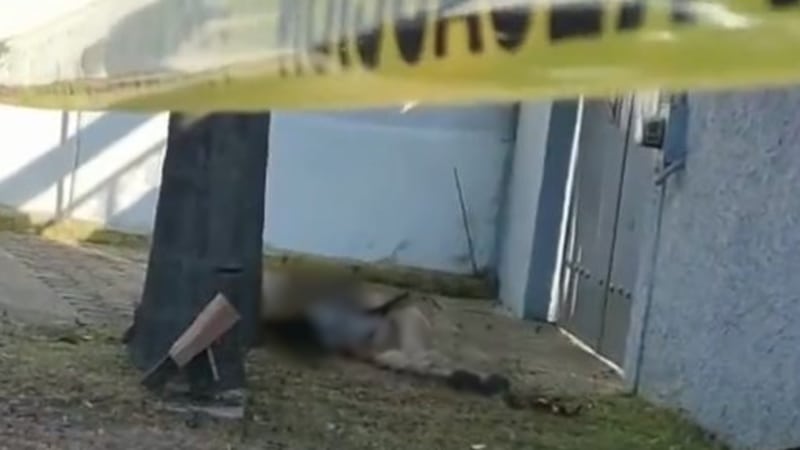 Hallan el cadáver de un masculino en la Recta a Cholula 