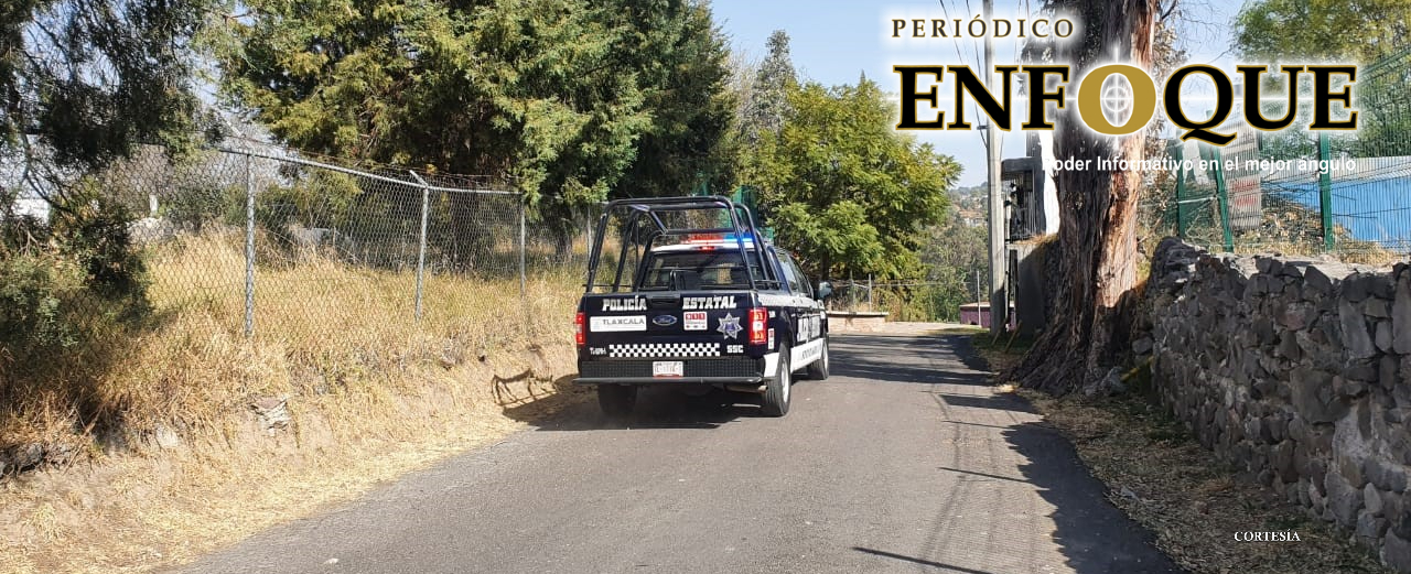 Leona ataca a su cuidadora en el Zoológico del Altiplano.  