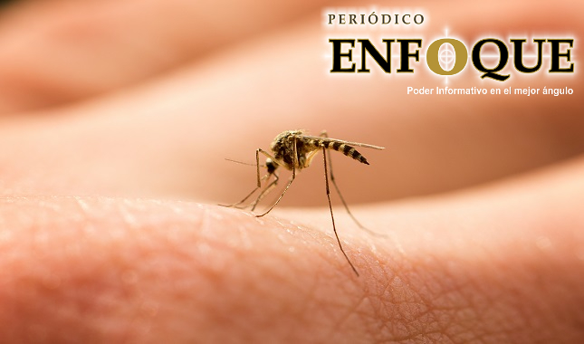 Gobierno de Coahuila continúa implementando estrategias para combatir al Dengue, Chikungunya  y Zika.