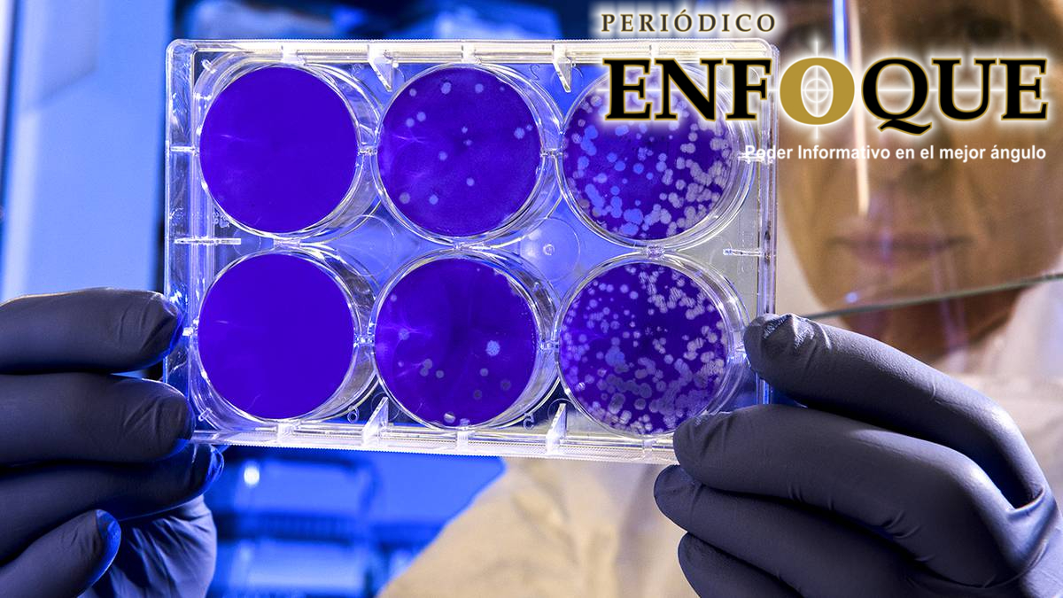 ¿Qué hace tan Contagiosa la nueva Cepa de Coronavirus?