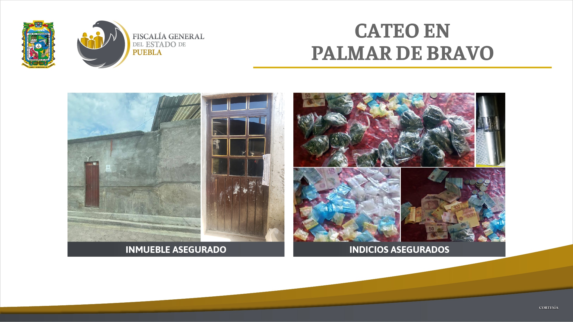 Cateo Palmar de Bravo 02260333 1