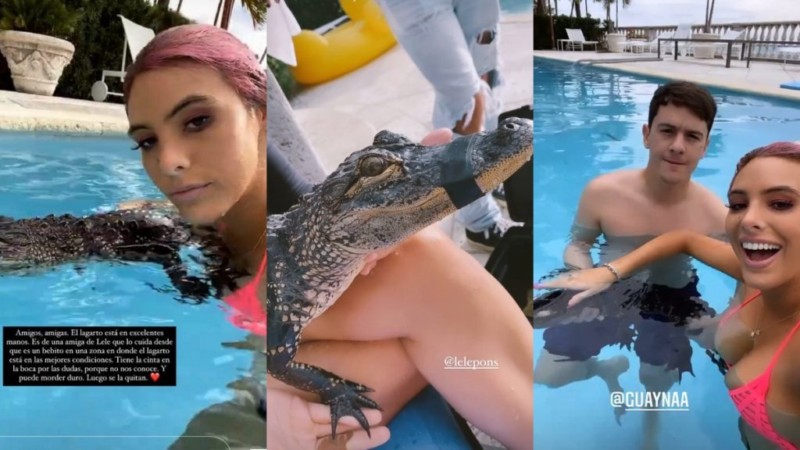 Critican a Lele Pons por nadar con cocodrilo amarrado, la acusan de maltrato animal