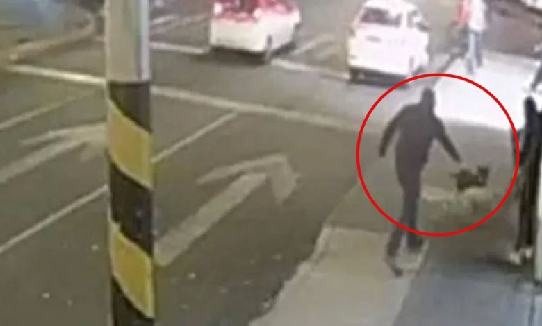 Contenido sensible: Hombre le dispara a una perrita sólo porque le ladró (Video)