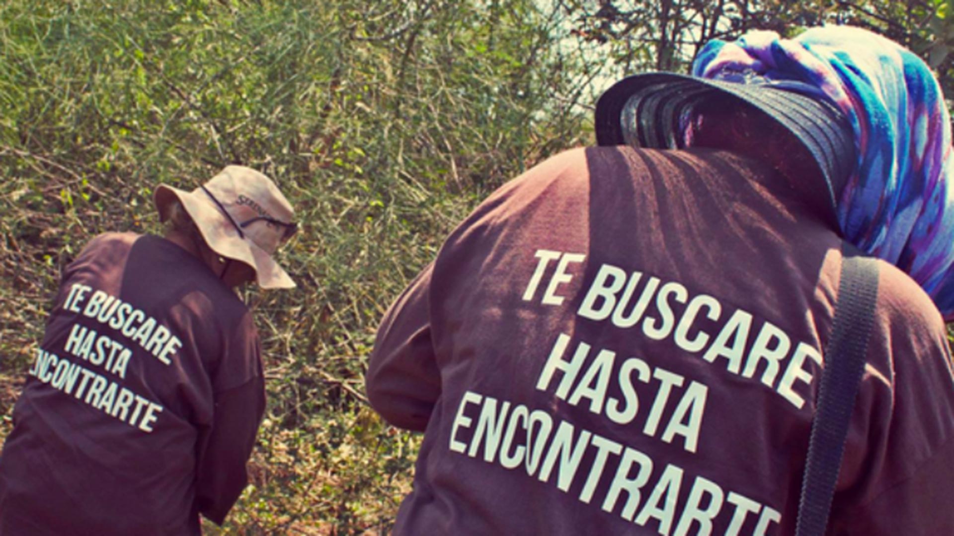 5 estados concentran 85% de los cuerpos hallados en fosas