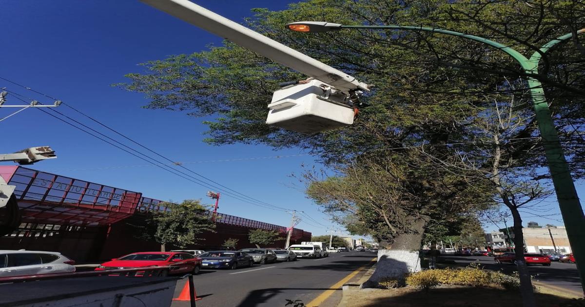 Efectúan trabajos de mantenimiento y reparación de luminarias en la capital