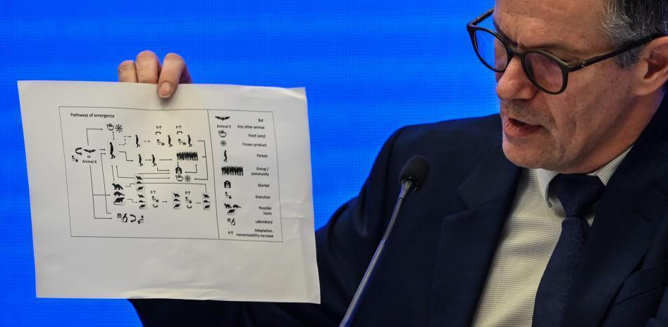 Equipo de la OMS que investiga el origen del SARS-CoV-2 descarta que el virus haya escapado de laboratorio