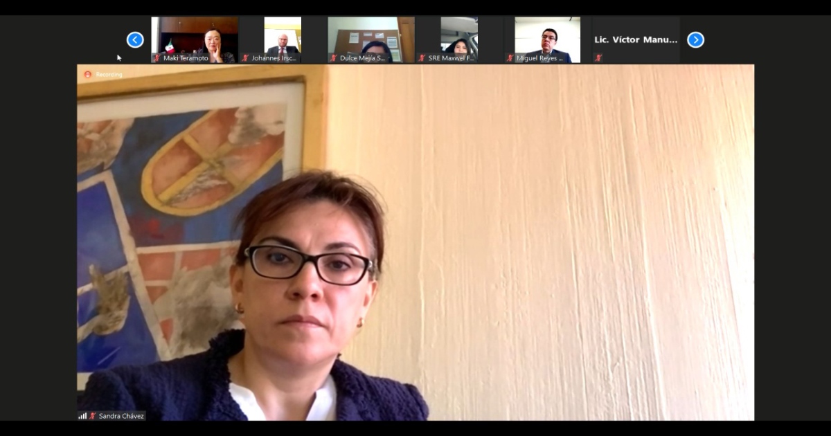 Atestigua presidenta del DIF Tlaxcala primer proceso de adopción internacional entre México y Austria