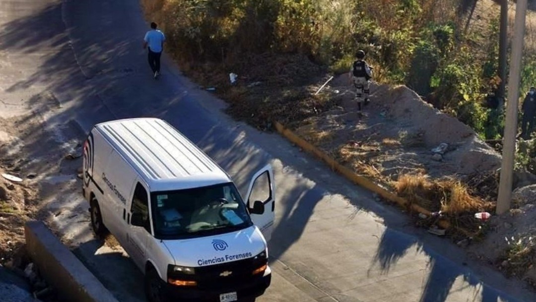 hallan al menos 18 bolsas con presuntos restos humanos en zapopan jalisco foto medios locales