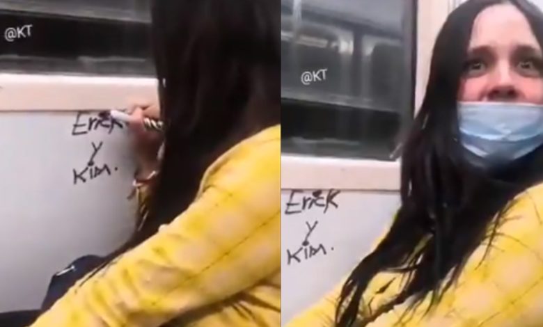 Mujer es captada vandalizando el Metro de CDMX y es bautizada #LadyRayaVagones (Video)