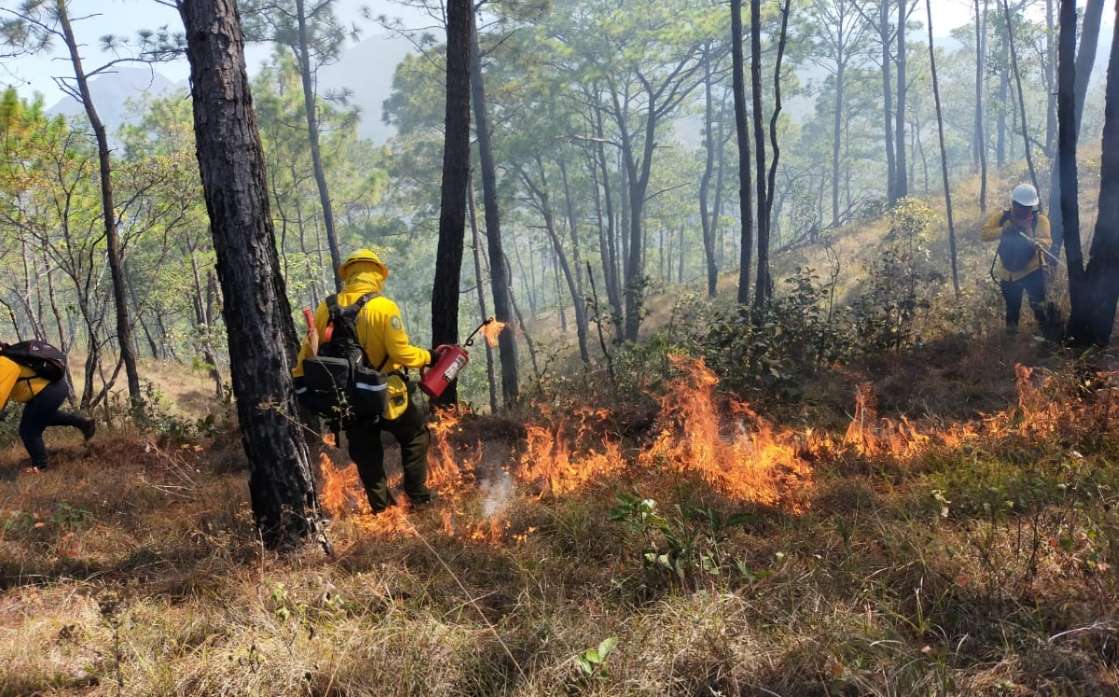 Conafor reporta 18 incendios forestales en 10 estados