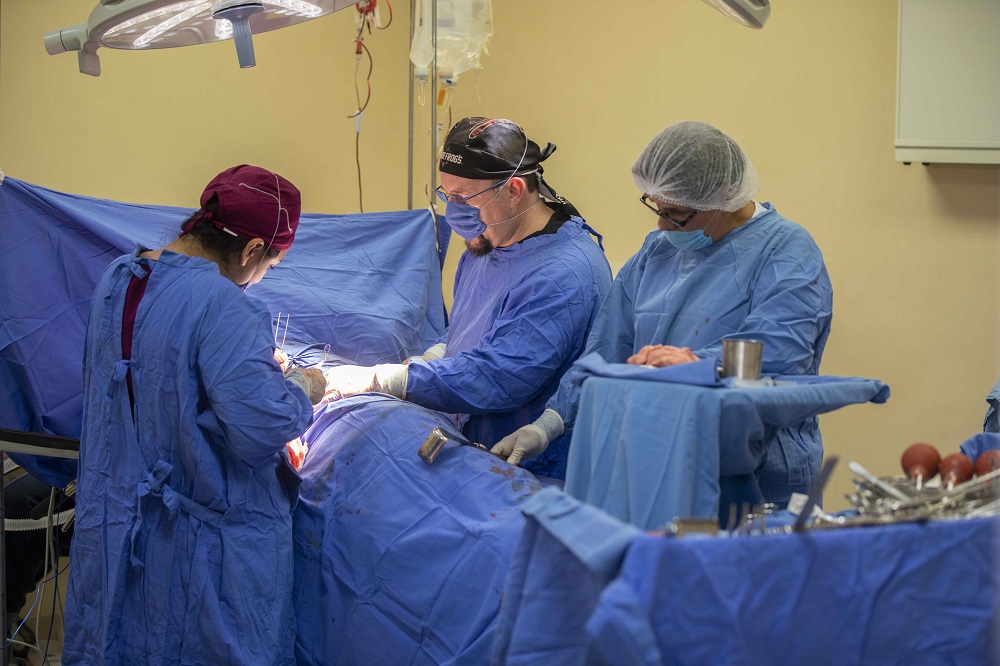 Conmemora SESA día mundial de trasplante de órganos y tejidos