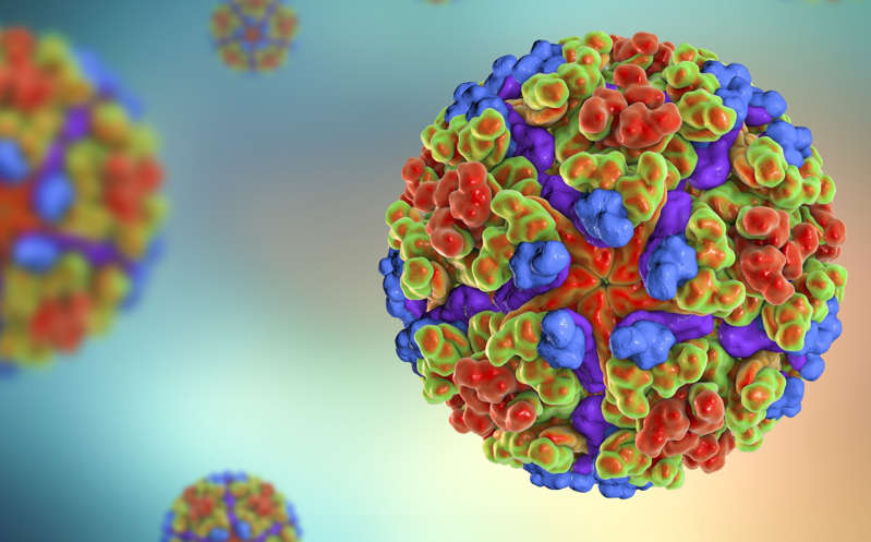 Resultado positivo de la vacuna contra el chikunguña de Valneva: Reporte