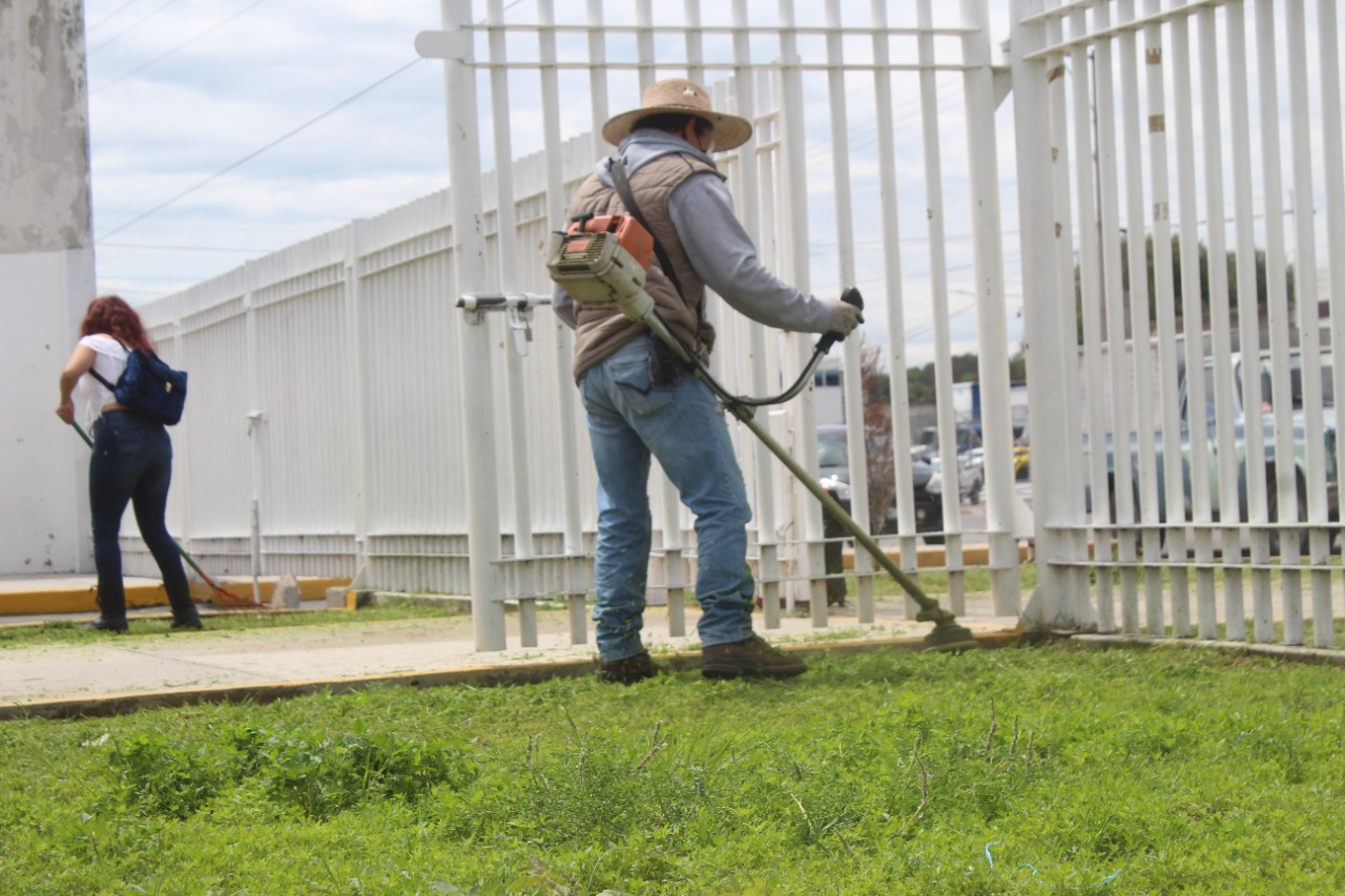 En Amozoc realizan limpia y poda en espacios públicos 