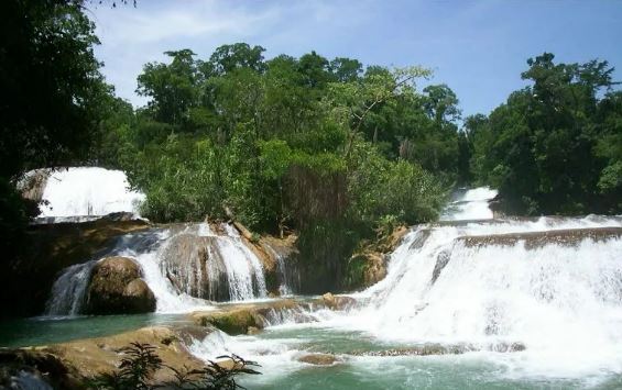 Chiapas: Muere turista portuguesa tras caer en las cascadas de Agua Azul