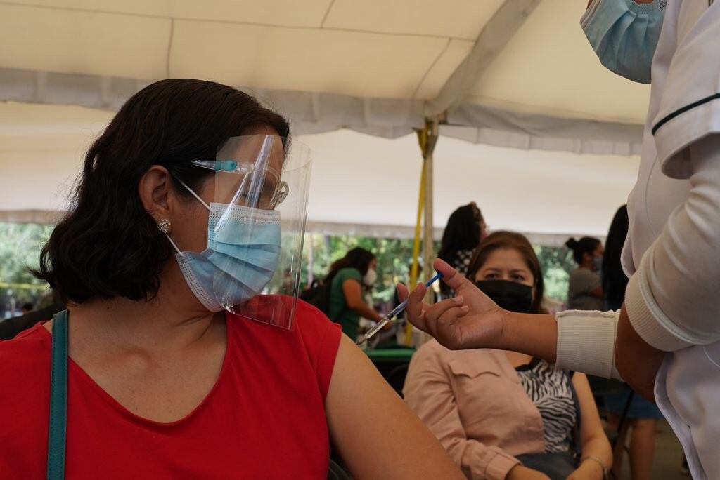 Cómo descargar el expediente de vacunación indispensable para tu cita; CDMX