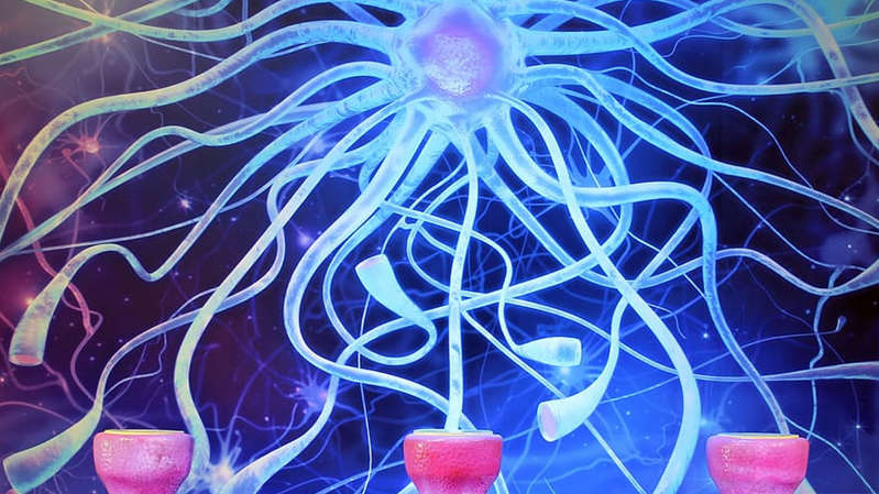 ¿Qué es el síndrome de Guillain-Barré?