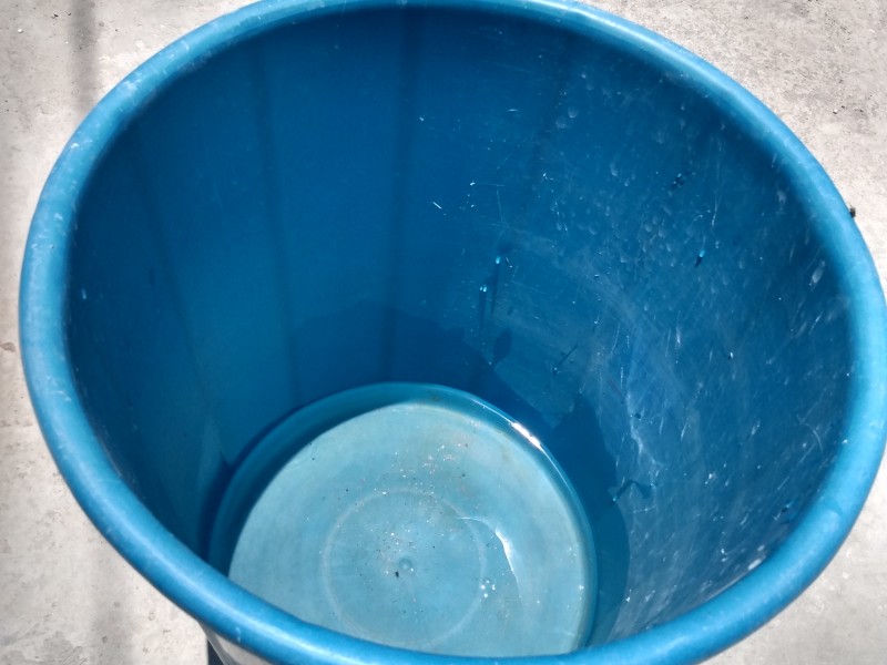 Captarán agua de lluvia en 600 casas de Zapopan